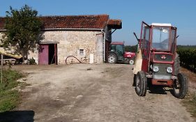 Superbe Loft, Degustations Vignoble Familial